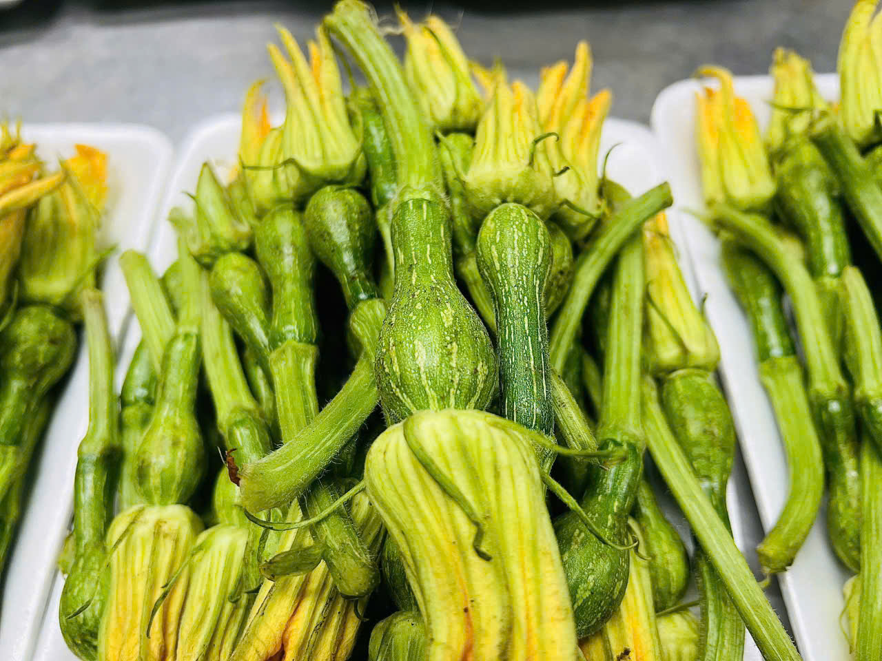 Bí ngòi non - Hợp Tác Xã Rau Sạch Nguyễn Minh